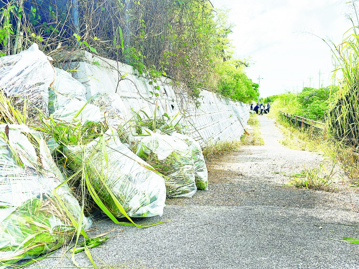 新川川で河川清掃　建設業者ら120人が環境美化