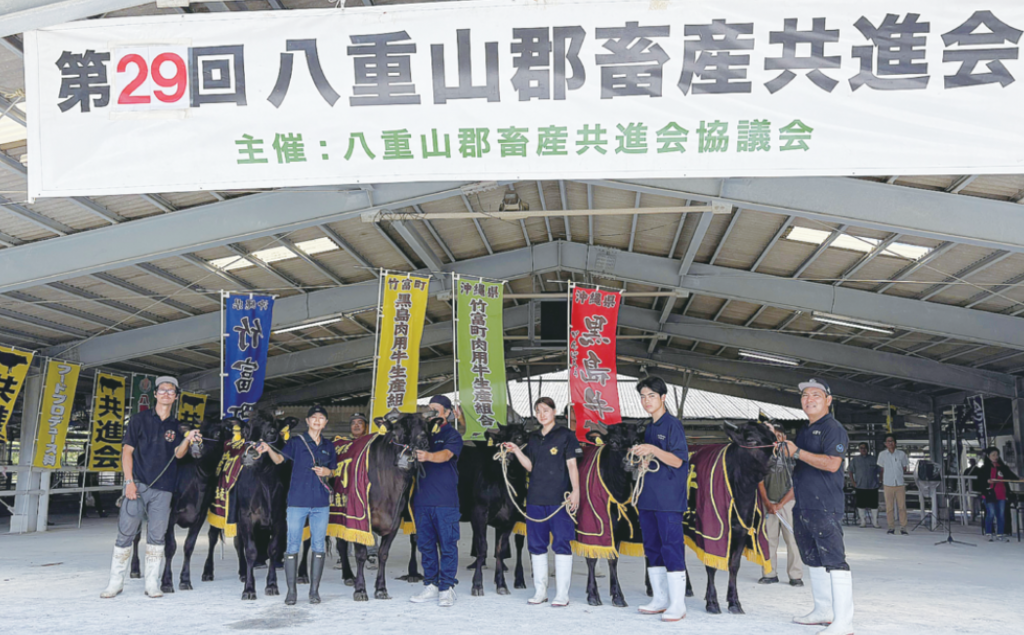 石垣や黒島から26頭出品　八重山郡畜産共進会が開催